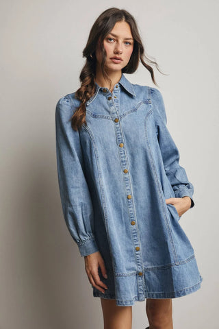Sunwashed Denim Button Down Flare Dress