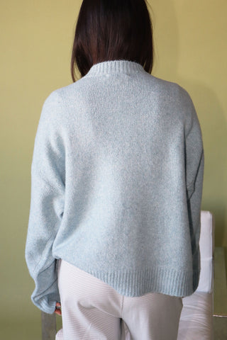 Trout Graphic Knit Sweater in Daisy Blue