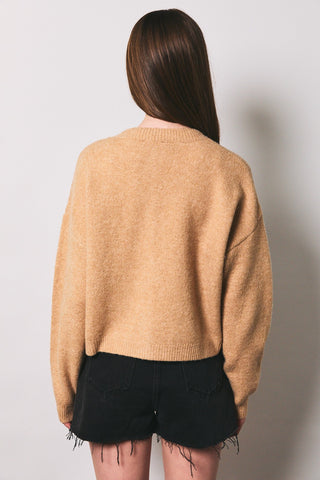 Horse Graphic Crew Neck Cardigan