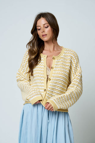 Stripe Crochet Button Down Cardigan