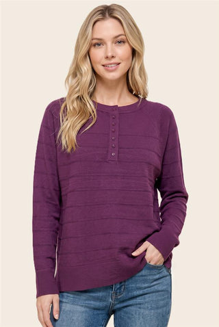 Plum Texture Stripe Half-Button Sweater with crew neck