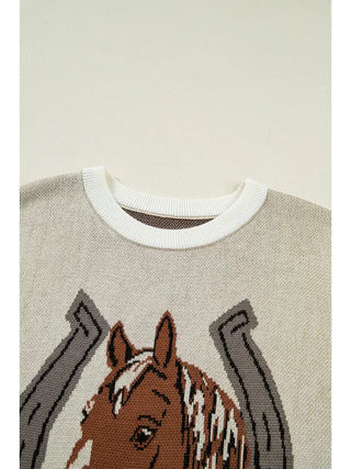 Horseshoe Colorblock Sleeveless Sweater