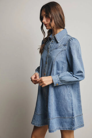 Sunwashed Denim Button Down Flare Dress