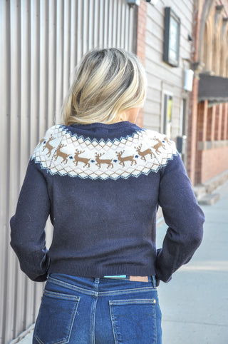 Alpine Charm Knit Cardigan