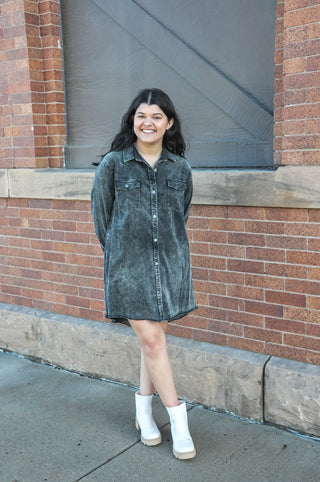 Ash Stone Wash Denim Dress