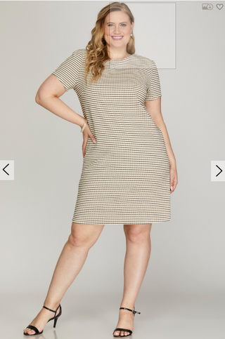 Curvy Steffi Striped Knit Dress | JQ Clothing Co.