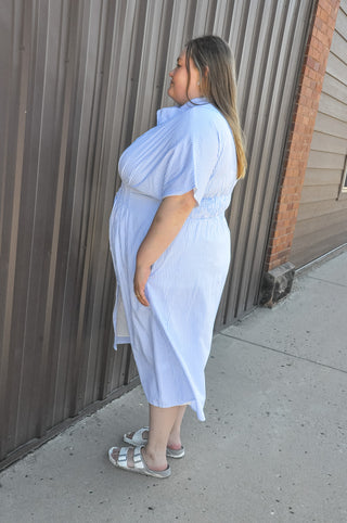 Curvy Button Down Pintucked Waist Dress