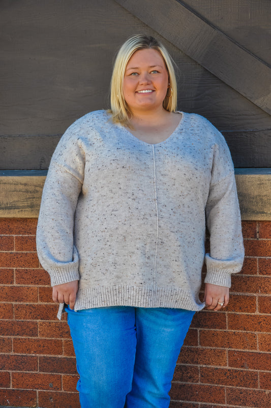 Curvy V-Neck Speckle Sweater
