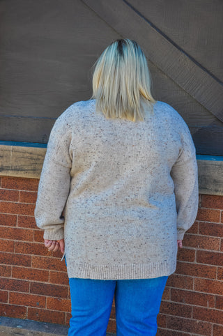 Curvy V-Neck Speckle Sweater