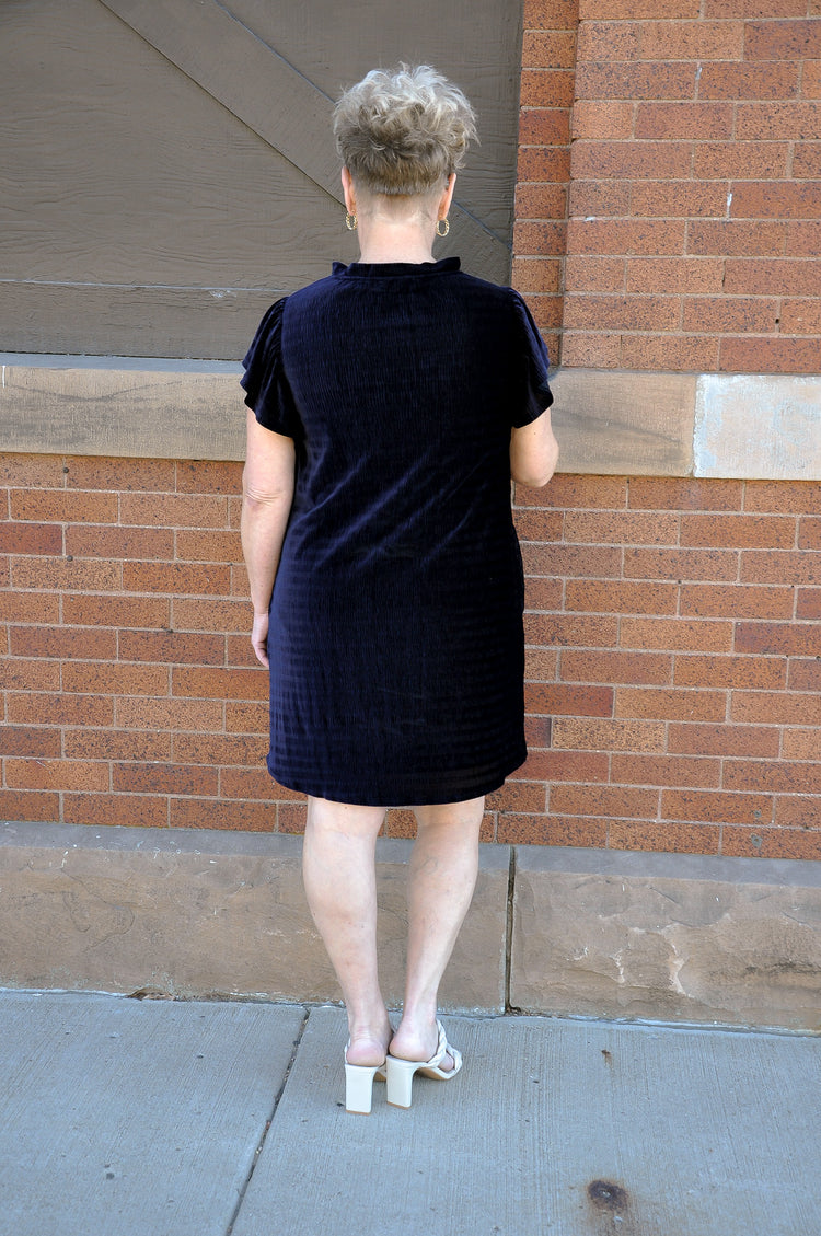 Textured Velvet Mock Neck Mini Dress