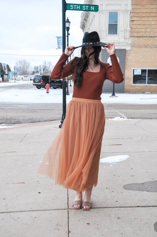 Elastic Waist Maxi Tulle Skirt