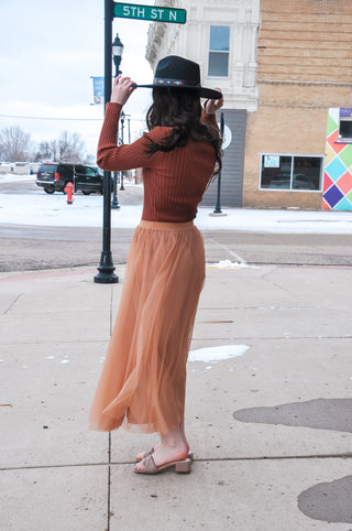 Elastic Waist Maxi Tulle Skirt