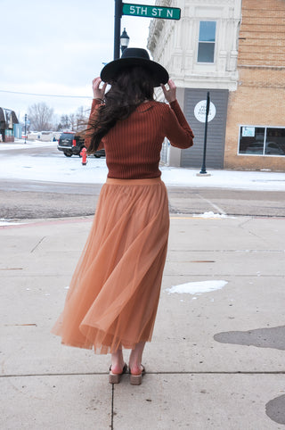 Elastic Waist Maxi Tulle Skirt