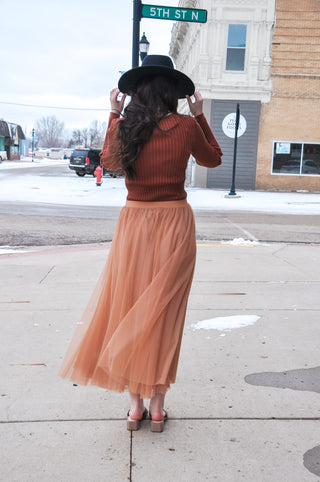 Elastic Waist Maxi Tulle Skirt