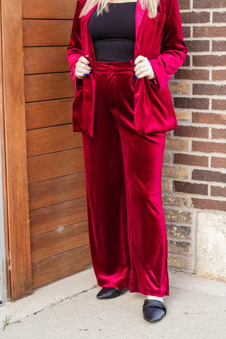 Luxurious Velvet Wide Leg Pants | JQ Clothing Co.