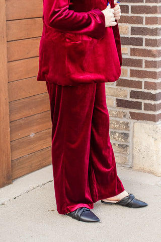 Luxurious Velvet Wide Leg Pants | JQ Clothing Co.