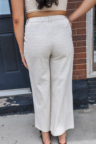 Linen Look Pleated Wide Leg Slacks