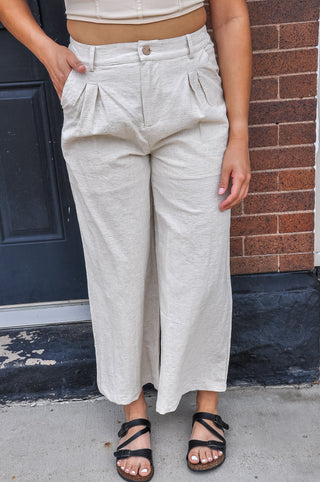 Linen Look Pleated Wide Leg Slacks