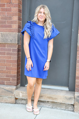 Oversized Ruffle Sleeve Royal Dress