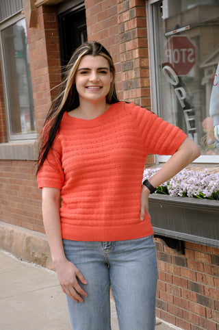 Pointelle Striped SS Pullover Sweater