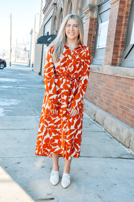 Printed Brick Beauty Belted Dress