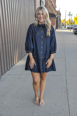Weekend Muse Tie Mini Dress