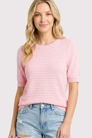 Pointelle Texture Striped Sweater